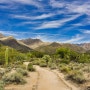 대자연의 신비, 사막의 오아시스 사비노 캐년(Sabino Canyon) 휴양지