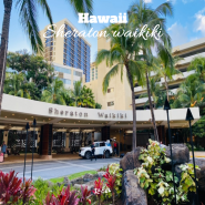 🌺 하와이 호텔 추천 Ⅰ 쉐라톤 와이키키 오션프론트 룸업그레이드 받고 공항픽업까지 무료 제공