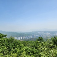 경기도 용인 처인구 등산 : 부아산 그늘이 많아 시원한 초보 등산 최단코스 주차장