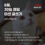 [마감] 2024년 6월 / 30일 매일 키워드 글쓰기 멤버 모집중 (온라인/네이버밴드)