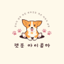 강아지 샴푸 추천 피부건강 개선 저자극 샴푸 - 펫분 아이오콤마