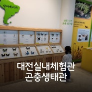 대전 아이실내체험관 곤충생태관(입장료없음)