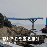 부산 해운대 볼거리 청사포 다릿돌 전망대 풍경과 주차