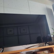 내돈내산] 가성비 좋은 삼성 사이니지 55인치 TV 구입 후기.