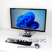 삼성전자 올인원Pro 일체형 PC 추천 DM970AGA-L51A