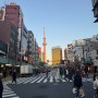 혼자 다녀온 무계획 도쿄여행 2 (아사쿠사 타이야키, 유니클로아사쿠사점, 아사히 스카이룸, 도쿄역, 도쿄타워)
