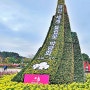태안 세계튤립꽃 박람회 코리아플라워파크 & 할미할아비바위