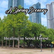 서울숲 봄(15) 서울숲 오후 풍경