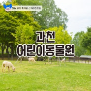 과천 어린이동물원 서울대공원 피크닉 장소