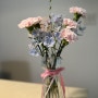 가정의달 부산시청 예쁜 카네이션이 있는 윤꽃