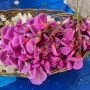 아카시아꽃 튀김 만들기