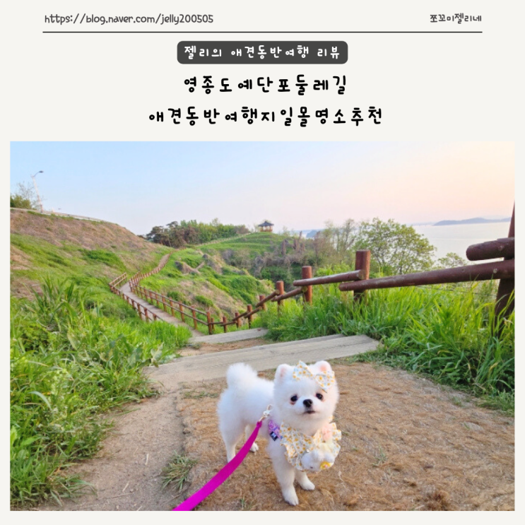 영종도예단포둘레길 애견동반여행지일몰명소추천 : 네이버 블로그