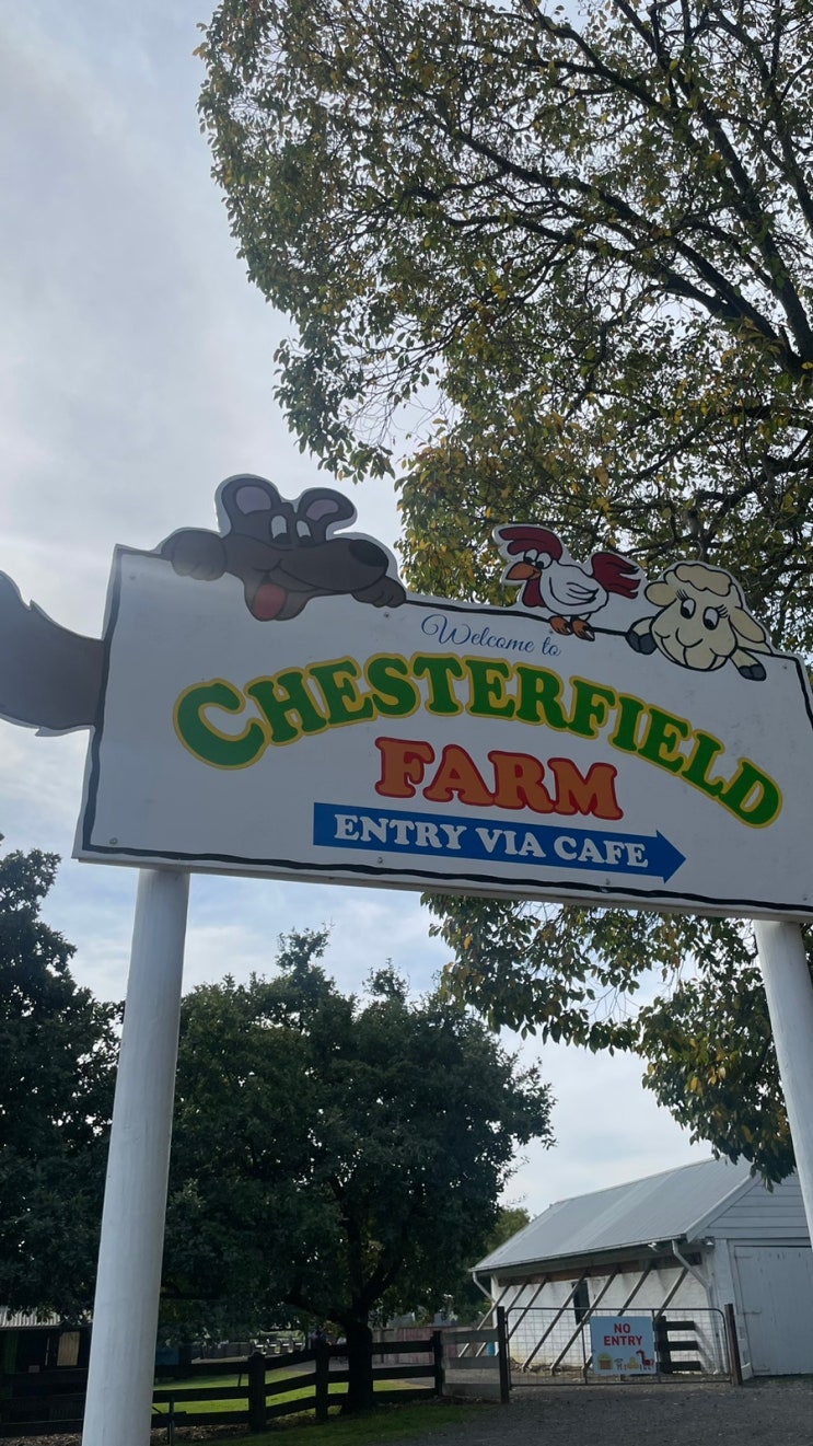 호주/멜번 직장인 일상 - 5월의, 조카들의 어린이날, 어린이 디카선물 Chesterfield Farm, 단데농 마켓 ...