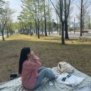 피크닉 좋아하는 사람의 서울, 동탄 공원 추천