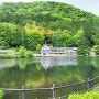 후쿠오카 버스투어-다자이후 텐만구 / 유후인 긴린코 호수 / 벳푸 유노하나 / 벳푸 가마도지옥 온천 / 호텔 몬테 에르마나 후쿠오카