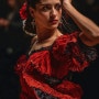 정열과 관능의 춤, 스페인 플라멩코를 만나다!