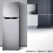 삼성 2도어 냉장고 RT25NARAHS8 구매후기, 할인받는 법 (원룸형 냉장고로 딱!)