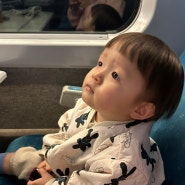 27개월 인생 첫 기차와 서울 여행