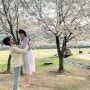 피크닉 데이트 대전 대청호 금강로하스 벚꽃 해피로드