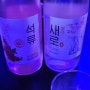 [서울 강남] 술단지 / 신사역 가성비 좋은 술집