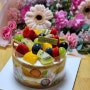 왕십리/상왕십리 생과일케이크 맛집 케이크달달 내돈내산 생일케이크|어버이날 (레터링 가능)