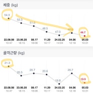 청담보감 타블렛 다이어트 11개월차 찐후기(-8kg 감량, 인바디공개, 할인링크 o)