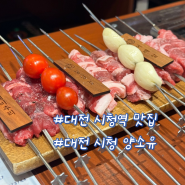 대전 시청 맛집 분위기 좋은 양꼬치 맛집 양소유