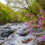 배내골, 울산 울주 배내골, 양산 원동 배내골