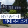 용인 송전지좌대 민물 저수지 붕어 낚시터 추천 후기 top3