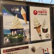내린천 휴게소 양양방향 산양유 아이스크림, 3년만에 다시 찾은 전망대 카페