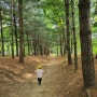 [장소 추천] 서울 상암 월드컵 공원 숲체험 입장료 주차정보 '유아숲체험원'을 소개 드립니다.