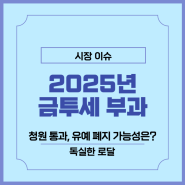 2025년 금투세 세금 부과, 청원 유예 폐지 가능성