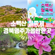 소백산 철쭉제 경북 영주 5월 여행지 가볼만한곳 추천