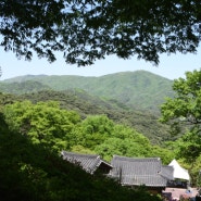 [공주] 태화산(泰華山) 봄: 마곡사를 품고 솔향기 가득한 부드러운 산길 (2024.04.27-28)