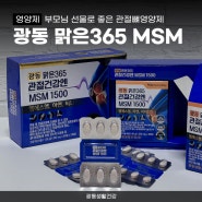 영양제 | 부모님 선물로 좋은 관절뼈영양제, 광동 맑은365 관절건강엔 MSM