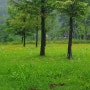 주52시간제 위반 형사처벌 기준과 관련한 법원의 해석 기준(대구 노동전문 변호사)