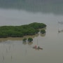 중국 사진 여행 - 홍수림과 반월리