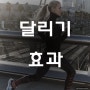 달리기 효과 홍대 헬스장 ♥ 5월 PT 1+1 이벤트