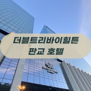 서울 근교 호텔 호캉스 / 더블트리바이힐튼 판교 호텔 후기