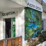 세부 보홀 여행 : Alona Gecko, 투어레코드 로복강 반딧불투어🌠, 게리스그릴