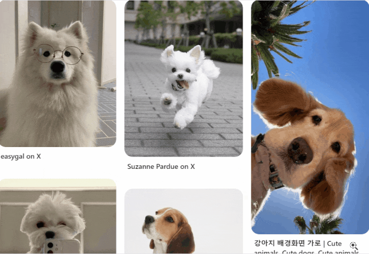 컴퓨터 GIF 움짤 만드는 법 SCREEN TO GIF 프로그램 활용 네이버 블로그