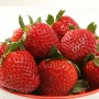 딸기 ( 영어 : Strawberry , 학명 : Fragaria )