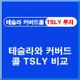 테슬라 커버드콜 TSLY와 TSLA 투자 비교, 커버드콜 배당투자 위험