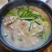 [용인 김량장동]순대국밥이 맛있던 채서원 병천순대