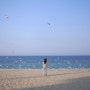 강릉 시티1버스 코스 안목해변, 사근진해변, 도깨비 촬영지