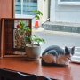 부산 연산동 카페 리슨페이지 Listen Page 고양이가 있는 감성 카페