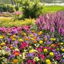 꽃이 너무 예뻐서 데이트, 나들이 갈 때 가면 좋은 일산호수공원 2024고양국제꽃박람회