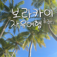 보라카이 3박 4일 자유여행 일정/비용 총 정리 (feat. 에스보라카이)