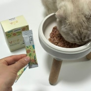 고양이 유산균 추천 변비와 설사 냥산균으로 해결해요 !
