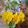 선물 받은 꽃다발, 향기좋은 노란꽃 프레지아